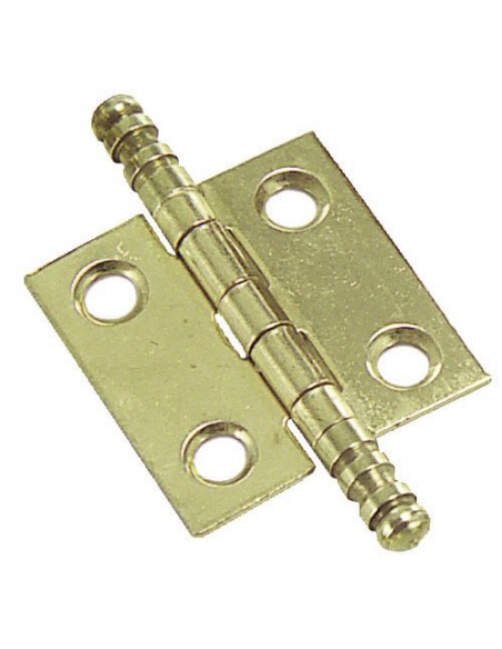 Bisagra latonada 207 60x40 mm.