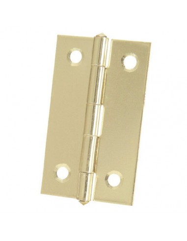 Bisagra 5005 Latonada        2-1/2"