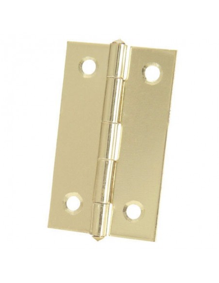 Bisagra 5005 Latonada        2- 1/4"