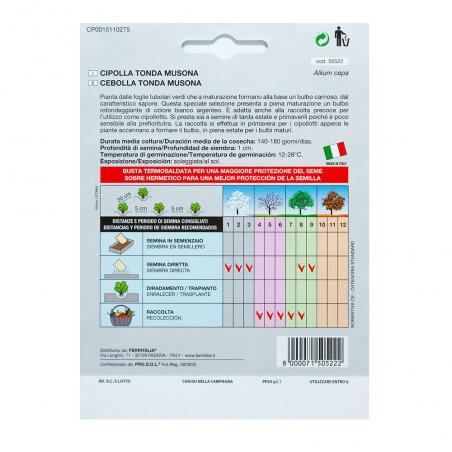 Semillas Cebolla Blanca (4...