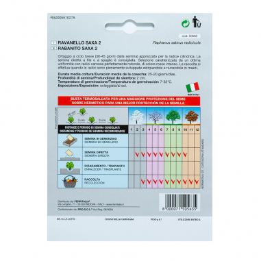 Semillas Rabano Rojo Temprano (8 gramos)
