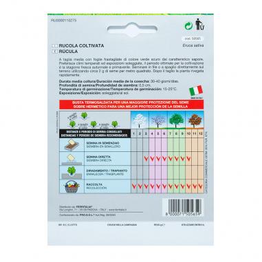 Semillas Rucula (9 gramos)