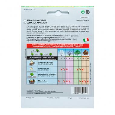 Semillas Espinaca Temprana (8 gramos)