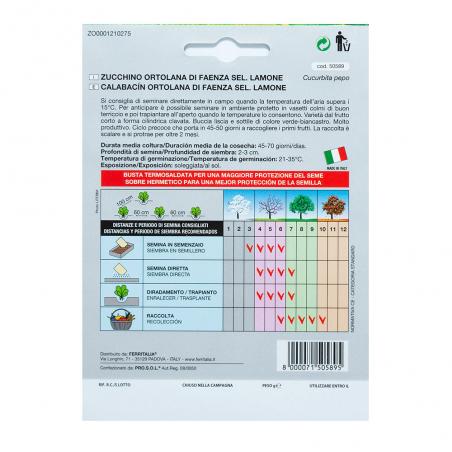 Semillas Calabacin Claro (5...