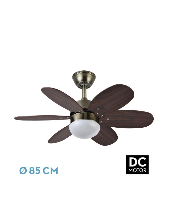 Ventilador Dc Alves 2xe27 Cuero 6...