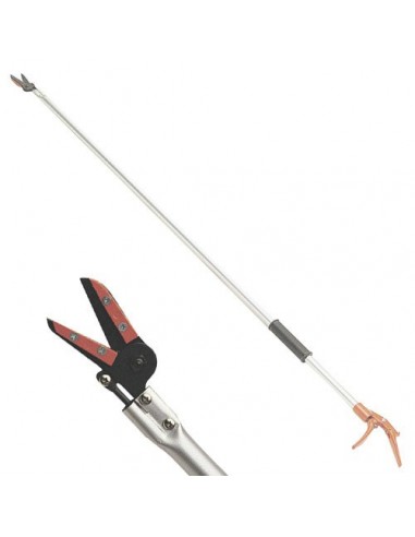 PERTIGA RECOGEFRUTA PAPILLON M/ALUM 2m